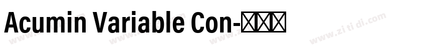 Acumin Variable Con字体转换